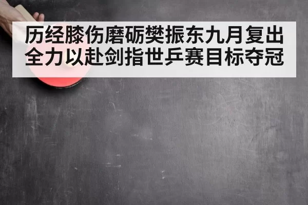 历经膝伤磨砺樊振东九月复出全力以赴剑指世乒赛目标夺冠